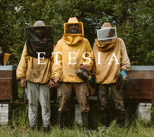 Estesia — Sofia Lisi
